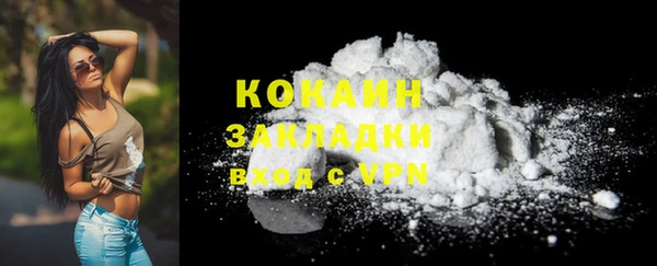 эйфоретик Арсеньев